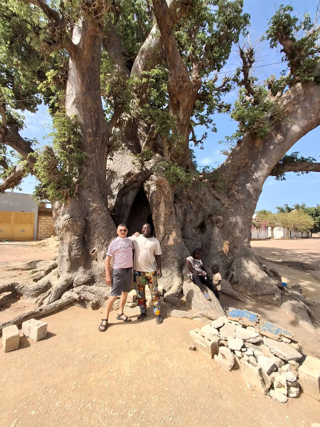 Le baobab sacré