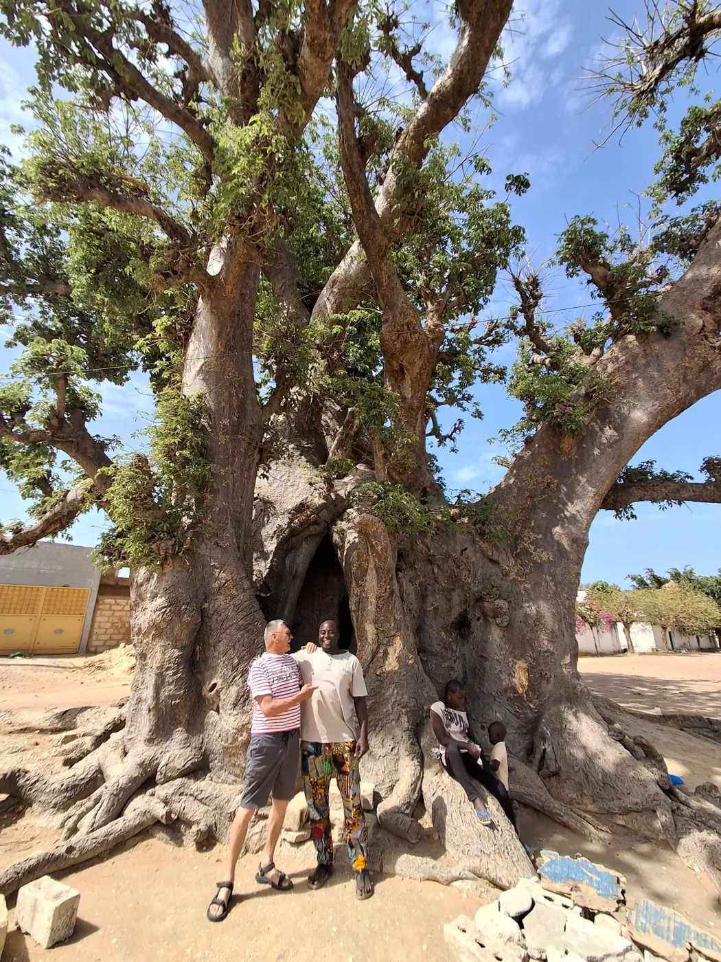 Le tronc immense du baobab sacré