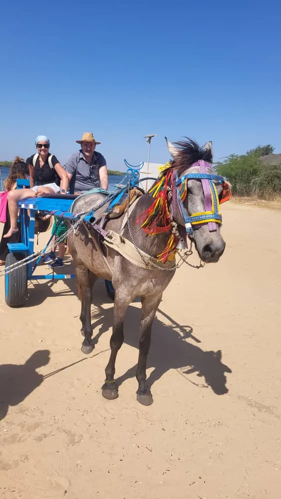 Carreta tirada por un caballo