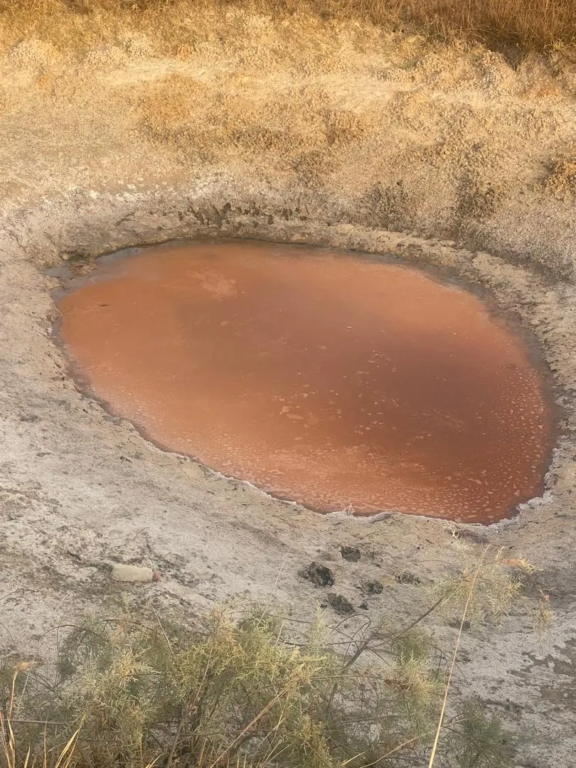 Los pozos de sal de Palmarin