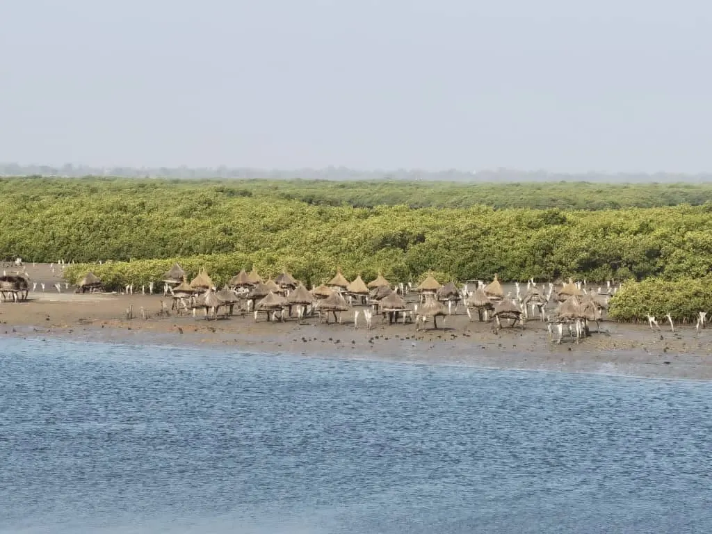 Granaries on stilts in Joal-Fadiouth