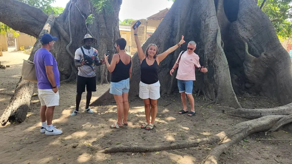 Travellers at the foot of a giant tree