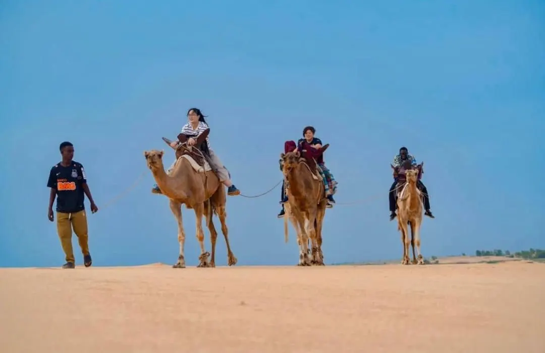 Camel ride in the Lompoul dunes